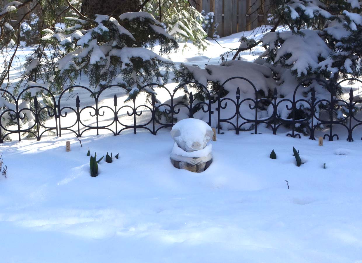 snow-gnome.jpg