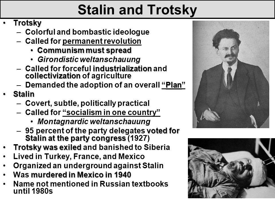 stalinandtrotsky.jpg