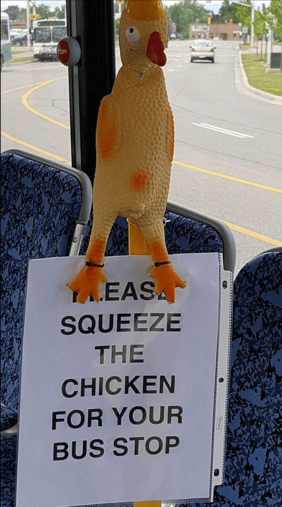 taeasa-squeeze-chicken-bus-stop.png