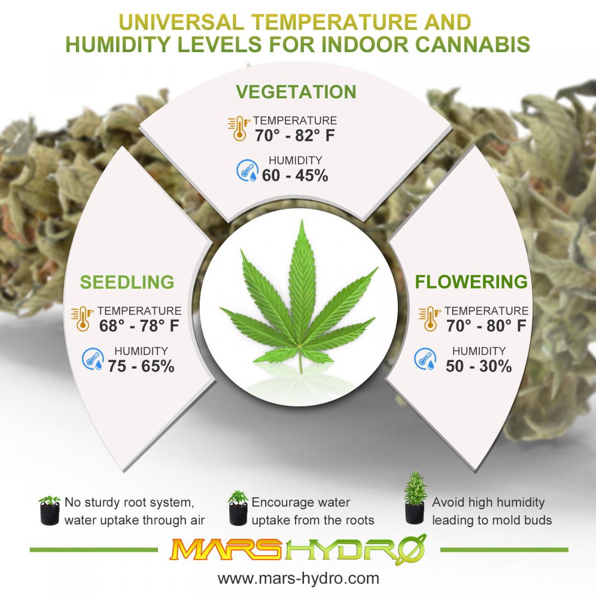 temperature and humidity levels for cannabis-mars hydro.jpg - Click image for larger version  Name:	temperature and humidity levels for cannabis-mars hydro.jpg Views:	0 Size:	141.2 KB ID:	18048997