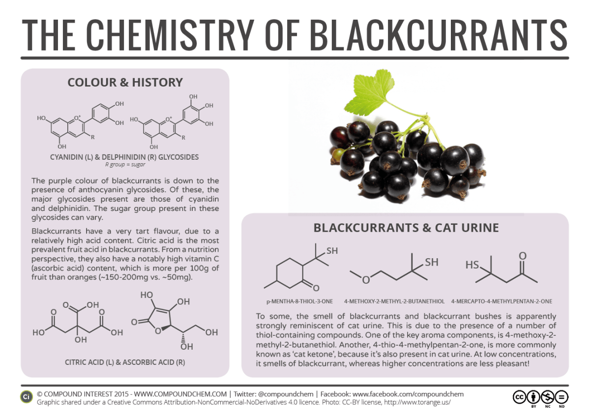 The-Chemistry-of-Blackcurrants1.png