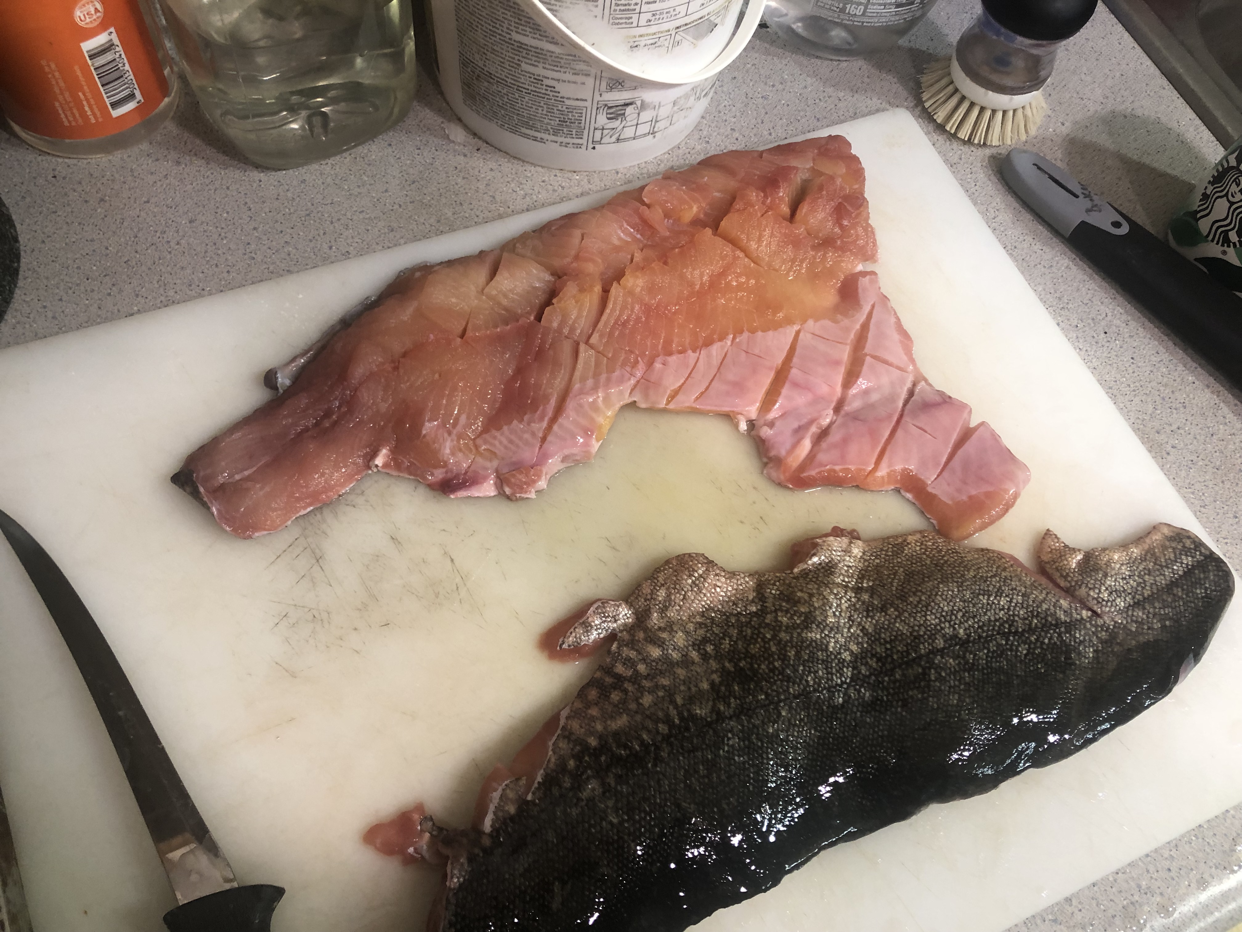 the trout ready for cross hatching and marinade.jpeg
