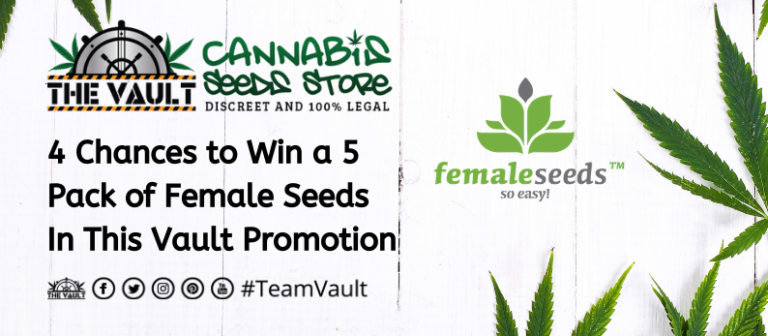 The-Vault-Cannabis-Seed-Store78-768x336.png
