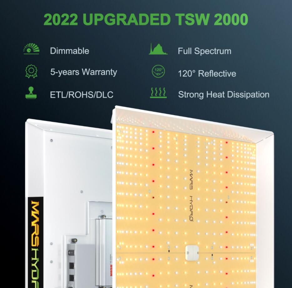 TSW-2000.jpg