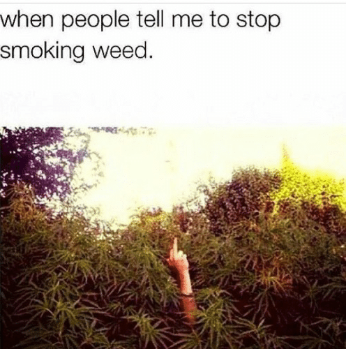 when-people-tell-me-to-stop-smoking-weed-funny-weed-53618492.png