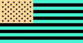 US_flag_inverted.jpg
