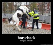 horseback-cop-gets-his-raise-a7b105.jpg