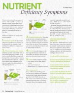 Deficiency Symptoms   page1