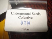 new-led-grow-light-seeds 006.jpg