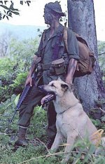 Vietnam scout dog.jpg