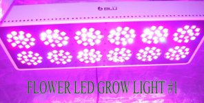 flower-led-grow-light-1.jpg