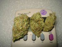 kill-a-watt-meter-marijuana 013.jpg