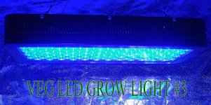 veg-led-grow-light-3.jpg