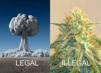 legal vs illegal.jpg