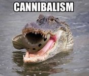 croc cannibalism.jpg