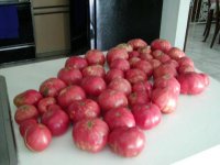 heirloom tomatos.3.JPG