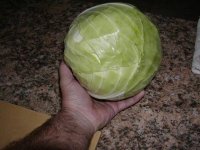 a4 pound cabbage.2.JPG