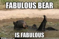 fabulous bear.jpg