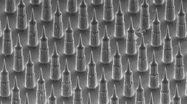 nanopatch.jpg