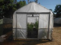 greenhouses 015.jpg