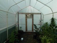 updated greenhouse 013.jpg