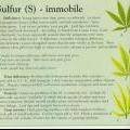 medium_sulphur-info-marijuana.jpg