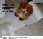 dog bounty hunter.jpg