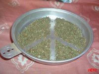marijuana_art%20(1).jpg