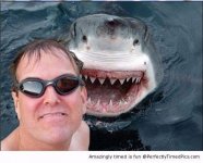 Shark-photobomb-resizecrop--.jpg