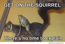 get-on-the-squirrel-theres-no-time-to-explain.jpg