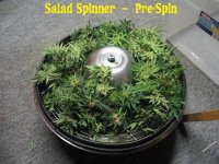 32-Salad Spinner.jpg