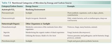 Nutritional catagories of microbes by energy and carbon source.jpg