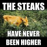 high steaksxx.jpg