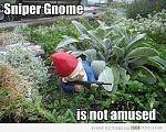 sniper gnome