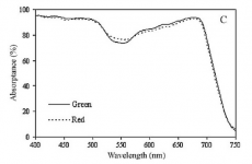 Absorptance spectra - green and red leaves.png