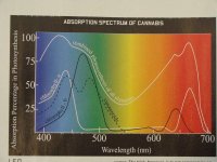 cannabis absorbtion spectrum from high times.jpg