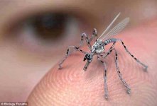 mosquito drone.jpg