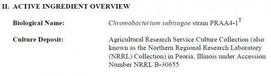 Chromobacterium subtsugae strain PRAA4-1.jpg
