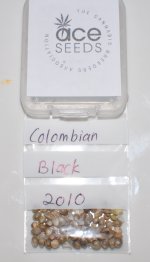 Colombian Black Seed.jpg