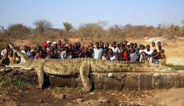 Largest-Nile-Crocodile.jpg