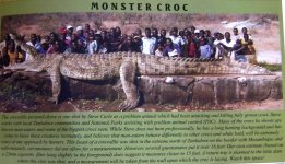 Monster-croc-shot-in-Zimbabwe the biggest crocodile in the world animal picture.jpg