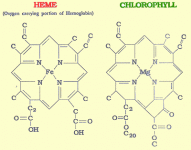 wheatgrass_hemoglobin_chlorophyll_molecule.gif