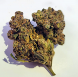 An image of the Farm Gas Strain by San Rafael 71