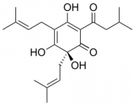 (S)-Humulone.svg.png