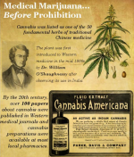 Cannabis05-3631972047.png