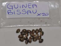 Guinea Bissau.jpg
