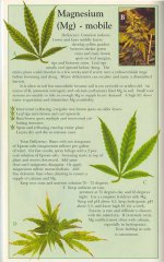 magnesium-info-marijuana.jpg