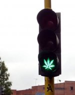 marijuana-traffic-light[1].jpg