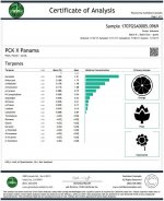 PCK x Panama análisis de terpenos.jpg