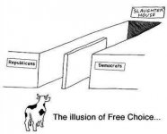 free choice.jpg